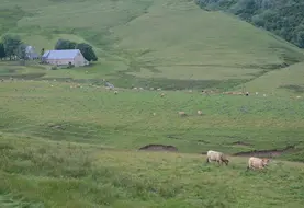 Les pâtures individuelles situées à plus de 25 km du siège d'exploitation sont soumises à déclaration obligatoire. 