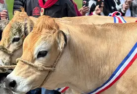 C'est bientôt la fête du Fin Gras !