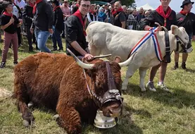 Le Fin Gras, une viande d'exception et la fierté d'un territoire