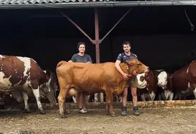 Laura Astier et son conjoint Fabien Tronchère avec leurs vaches.