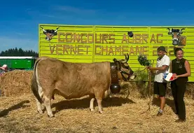 Le prix de championne femelle adulte a été décerné au Gaec Laubanie avec Narbonne. 