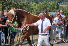 La championne des 2 ans en numéros pairs de Pascal Boncompain