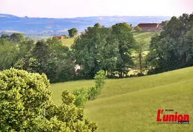 paysage rural avec parcelles et haies en moyenne montagne