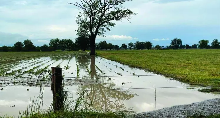 Les parcelles sont recouvertes de près de 250 mm d’eau tombés en quelques minutes.