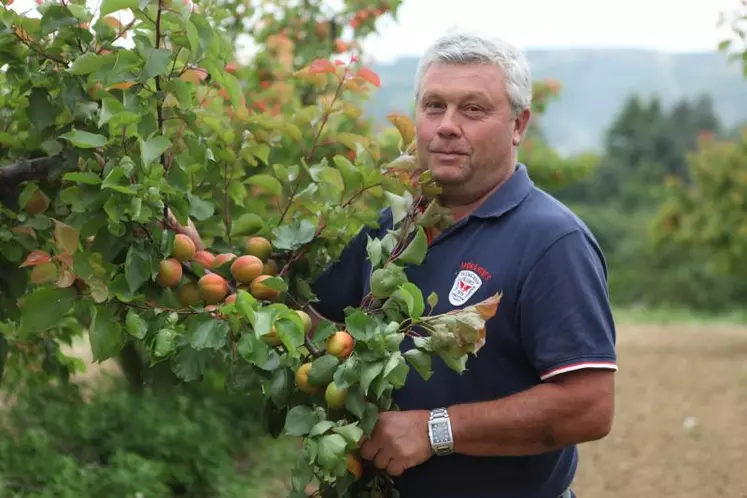 Gilbert Chavas préside le comité stratégique régional fruits.