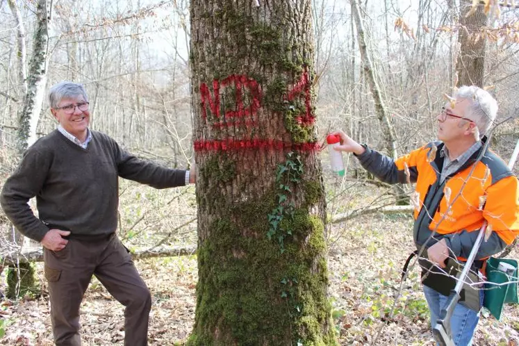 Xavier de Montlaur (à gauche), propriétaire forestier sur les communes de Jaligny-sur-Besbre, Thionne et Treteau et Philippe Veyret,  gestionnaire forestier professionnel chez Unisylva.