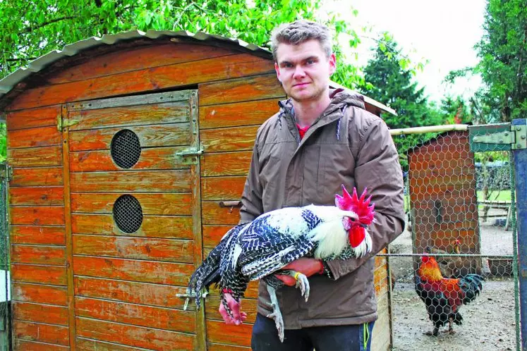 Thibaut est devenu un fin connaisseur des différentes races. Dans ses bras, un coq Braekel argenté.