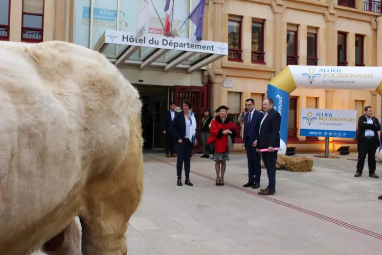 Les éleveurs et producteurs primés lors du Salon de l’agriculteur 2023, ainsi que leurs bêtes,
ont été reçus à Moulins par les élus du Département et de la Chambre d’agriculture de l'Allier.