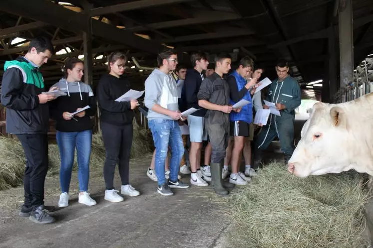 Les élèves de 1ère bac pro CGEA en plein exercice de pointage.