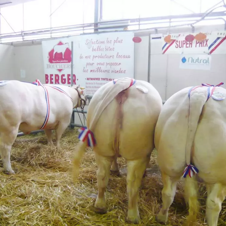 L’édition 2020 de la foire-concours de Saint-Pourçain-sur-Sioule.