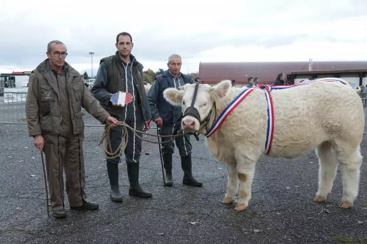 L’élevage Blandin-Cury est particulièrement fier d’avoir obtenu, il y a deux ans, le 1er prix d’honneur laitonne pour sa génisse « Pretoria », lors du concours de Moulins. À leur actif également « Régional », champion junior réserve 2021 lors du concours national du Marault. Mais pour Guillaume, celui auquel il est le plus attaché est le 1er prix d’Ensemble obtenu en 2011, année du décès de son grand-père.