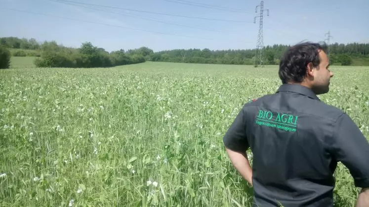 BioAgri travaille avec les céréaliers bio historiques et fournit 
du conseil technique.