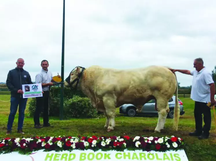 Pandor, 1er prix au national du Marault, 2021.