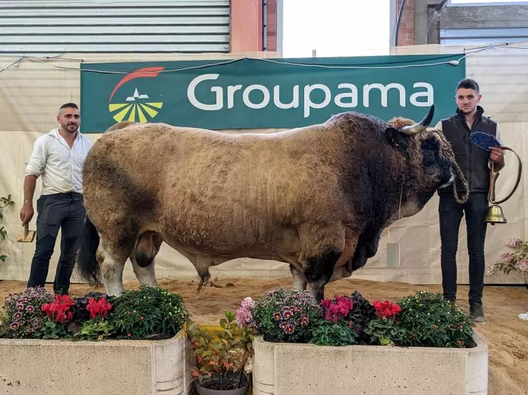 Championnat mâle : « Impec », Flavien Riberon