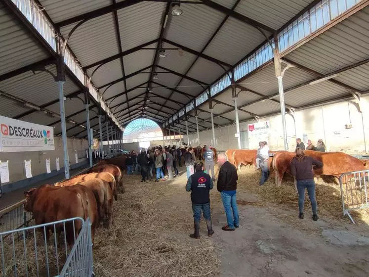 Le public composé d’éleveurs mais aussi d’amoureux de l’élevage était important sous le marché couvert de Cosne-d’Allier.