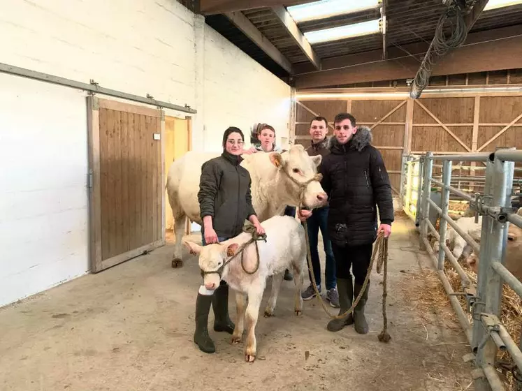 Les étudiants Laure Guillon, Adrien Aucouturier, Quentin Beaudoin et Charles Rouvet-Fiol, autour de la vache Licorne et de son veau Panaclo, élevés sur l’exploitation du Legta de Challuy.