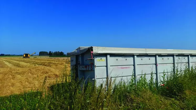 Un challenge de la collecte : Ne pas enterrer les bennes céréalières…