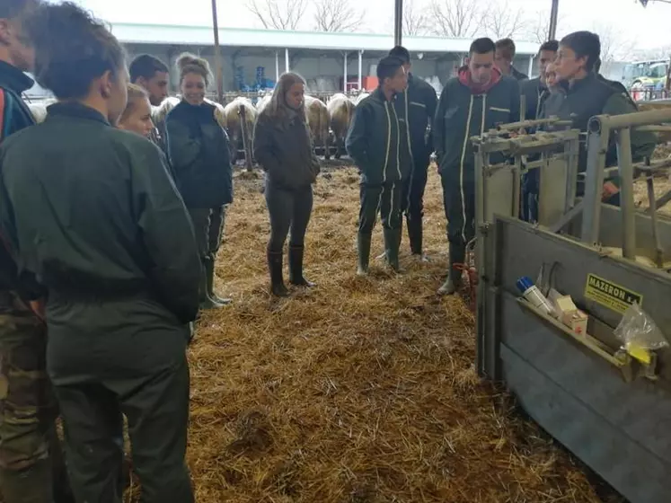 Des élèves à l’écoute des professionnels de l’élevage.