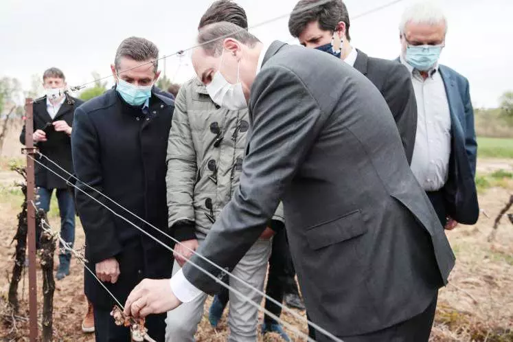 Jean Castex ce matin dans l’Hérault au chevet des viticulteurs touchés par le gel.