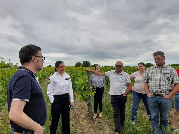 Valérie Hatsch, préfète de l'Allier, entourée des représentants des services de l'Etat, de la profession et des élus, à la rencontre des agriculteurs touchés par la grêle.