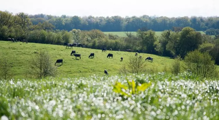 Oxyane a répondu à l’appel à projet de l’ADEME pour être structure partenaire sur la réalisation de diagnostics carbone chez les agriculteurs récemment installés.