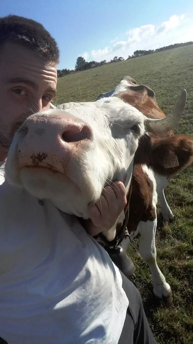 Maxime Delort, jeune éleveur dans le Cantal : « Notre métier, c’est aussi la fierté de travailler et de partager son quotidien avec des bêtes qui savent rendre ce que tu leur donnes. »