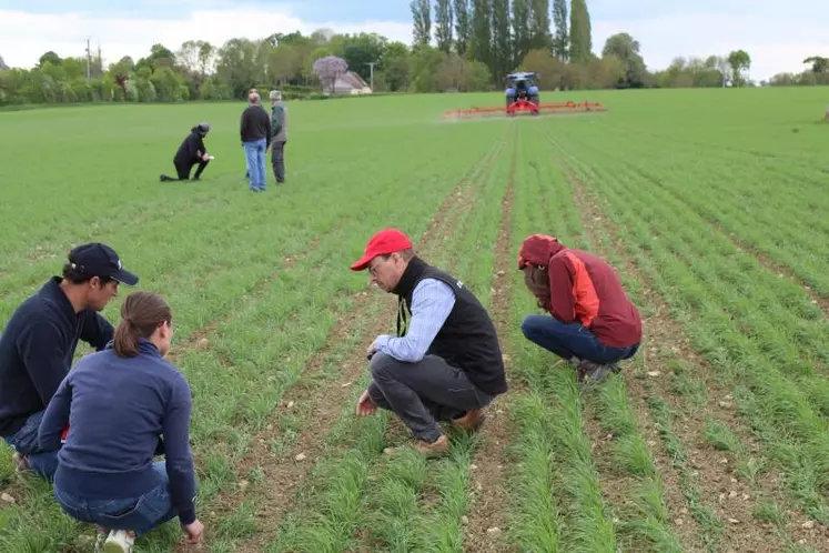 Les participants ont pu constater, en direct, les effets du passage des outils sur la parcelle.