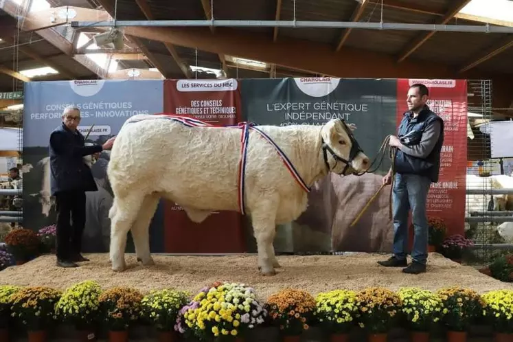 « Sephora », prix d’honneur junior, grand prix d’honneur femelle et prix de la ville de Charolles (Qualifiée pour la finale de Moulins).