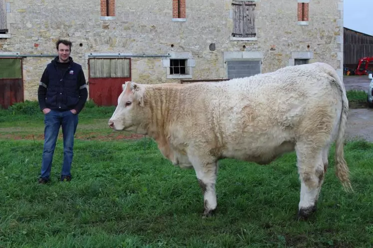 Nicolas Friaud, aux côtés de l’une des femelles qui participera au concours de Moulins.