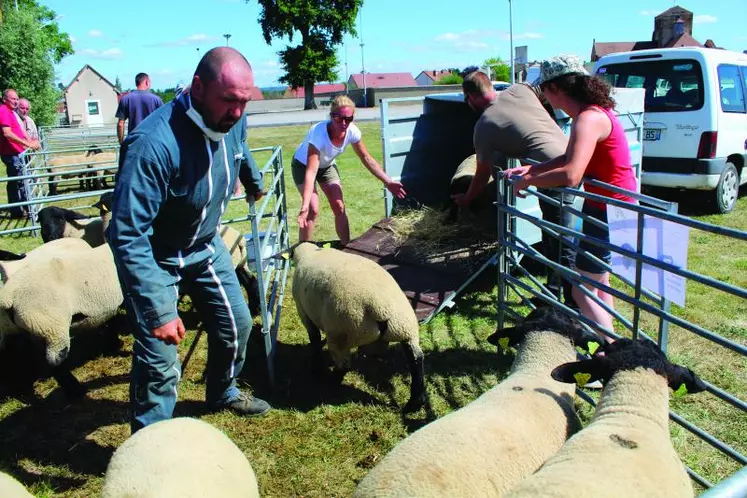 Des acheteurs qui repartent avec leurs bêtes.