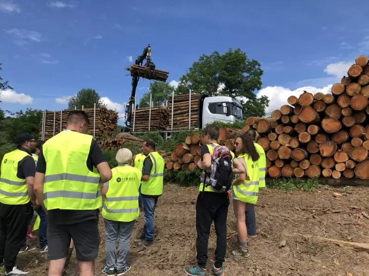 En juillet et août, « Vis ma vie de bûcheron » propose cinquante-six rendez-vous gratuits à l’ombre des forêts d’Auvergne-Rhône-Alpes, pour des balades éducatives et découvrir les métiers de la filière sylvicole.