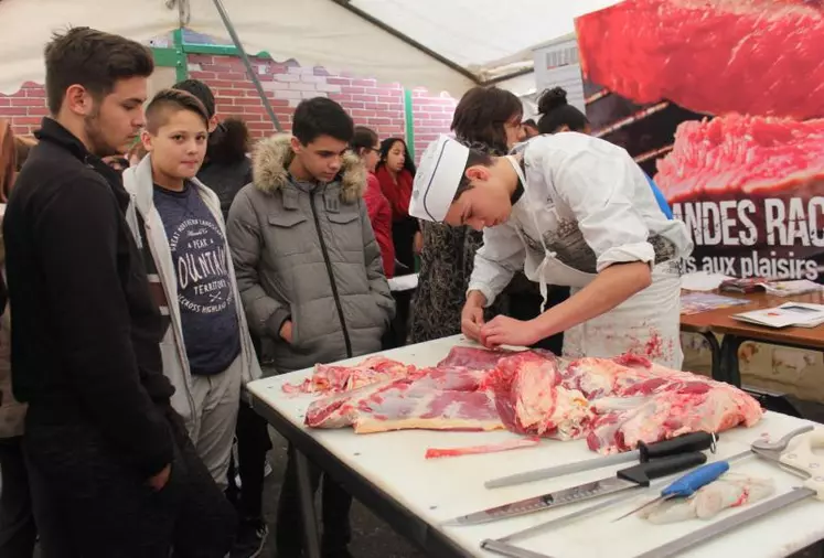 « L’année dernière, nous avions organisé des ateliers à destination de collégiens. L’objectif était de susciter des vocations chez les jeunes. Le secteur boucher rencontre de grosses difficultés de recrutement. Nous réitérons cette opération cette année », explique Roger Chevalier. Jeudi 22 novembre, l’IFI03, centre de formation, délocalisera une séquence de travaux pratiques. Sur les billots, les élèves désosseront des épaules de bovins et découperont de la viande. ...