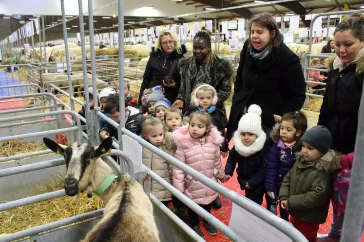 600 enfants charmés par les animaux de la ferme