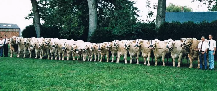 Deux ensembles présentés lors du concours national adulte à la ferme du Marault, de Magny-Cours (58) en 2002 dont le 1er prix d’ensemble. A leurs côtés, de gauche à droite : Mireille, Laurent, Bernard et Thierry Clame.