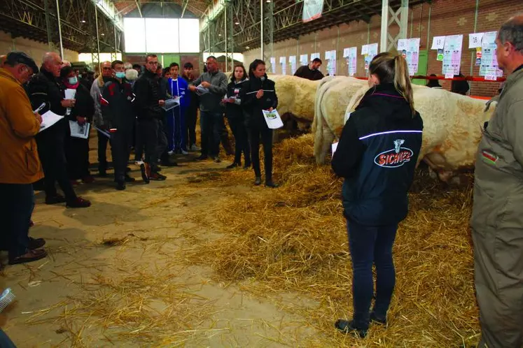 Des éleveurs attentifs lors de la présentation des animaux lors de la vente.