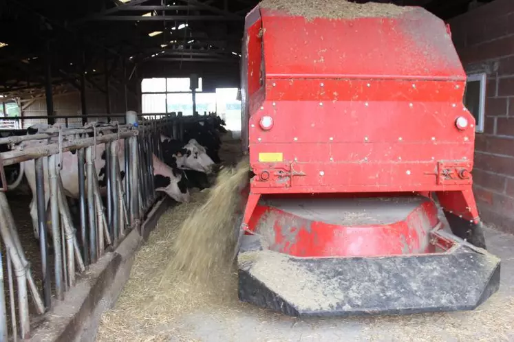 « Selon les lots et le stade de lactation, la ration ne sera pas la même. Même pour cinq vaches, elle pourra être adaptée. Ensuite, la ration est distribuée plusieurs fois par jour de façon à offrir aux bêtes une alimentation fraiche et fractionnée ».