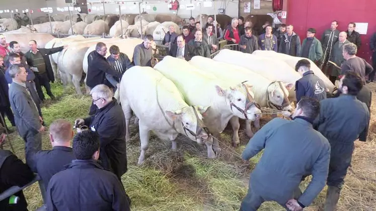 La Foire Concours en 2020.