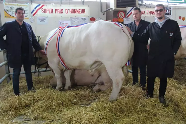 Super Prix d'honneur bovins gras mâles : Gaec de La Grange Sabot (Beaulon), acheté par la boucherie charcuterie traiteur  « La Gastronomie Beaulonnaise »