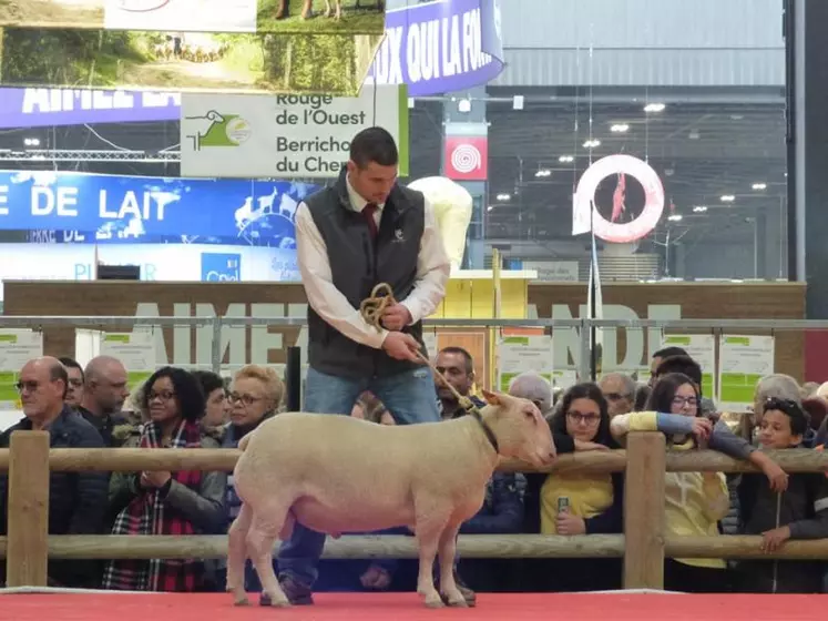 Julien Boutonnat avait remporté le 1er prix trophée viande en 2019.