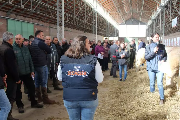 Acheteurs ou tout simplement passionnés de l’élevage étaient nombreux sous la halle de Montmarault.