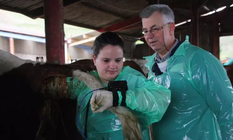 Vétérinaire rural est un métier qui n’attire plus autant les jeunes qu’avant et qui engendre une désertification dans les zones rurales.