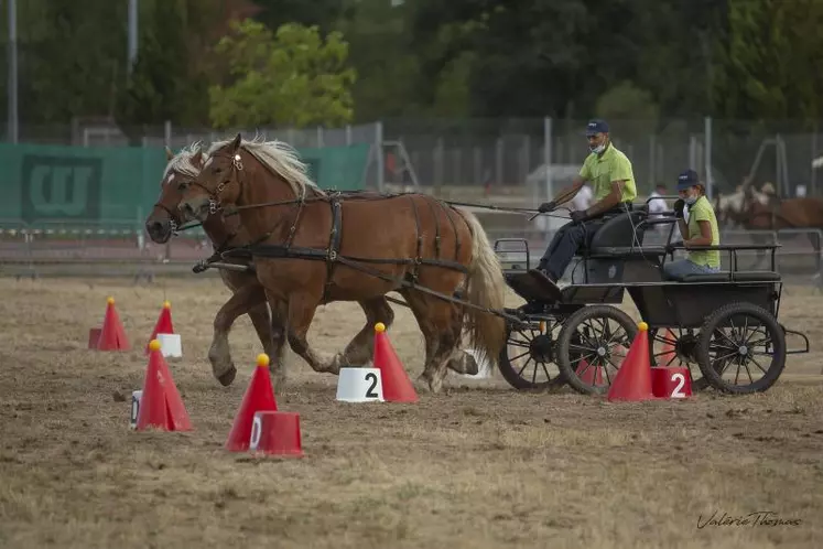 Le circuit «équidés Cup» permettra aux finalistes d’accéder à la compétition nationale qui se déroulera du 28 octobre au 1er novembre prochain à Lyon.