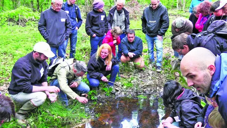 Une journée agrémentée d’une sortie découverte aux abords des étangs de la commune de Saint-Voir.