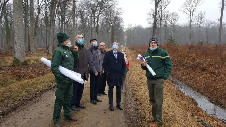 Le directeur de la DRAAF Aura, accompagné du Préfet de l’Allier et des représentants de la DDETSPP, de la DDT et de l’ONF, a parcouru la forêt de Tronçais et visité l’entreprise « Chêne Bois », à Cérilly.