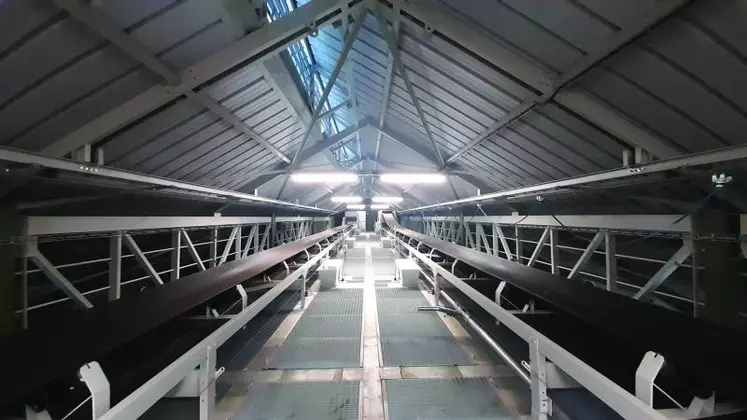 De longs tapis de transfert des grains sont installés au cœur du silo.