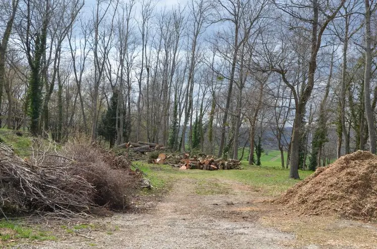 600 000 propriétaires se partagent 80 % de la forêt régionale.