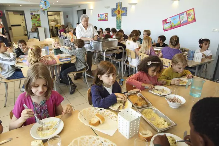 Selon l’Ademe, en matière de gaspillage alimentaire, la répartition des pertes est mieux gérée dans les écoles primaires que dans les collèges.