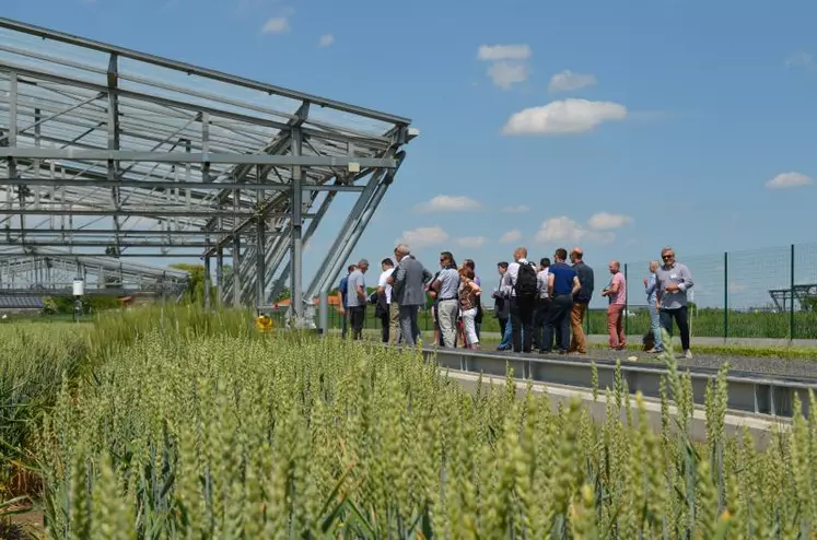Les membres du Gnis devant le dispositif Phéno3C à l’Inra de Crouël (63), où sont étudiés les comportements de différentes variétés de blé, face à des conditions prédictives du changement climatique.