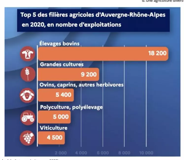 Si le nombre d’éleveurs est en baisse constante à chaque nouveau recensement agricole, l’élevage bovin reste encore la première production en Auvergne-Rhône-Alpes.