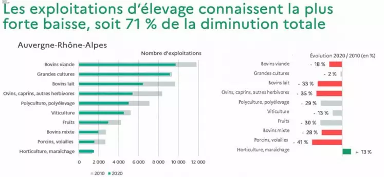 En Auvergne-Rhône-Alpes, l’élevage concentre à lui seul 71 % de la baisse du nombre d’exploitations sur la dernière décennie.